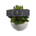 Jolly Roger Dog Collar (Large)