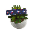 Texas State Flag Dog Collar (Medium)