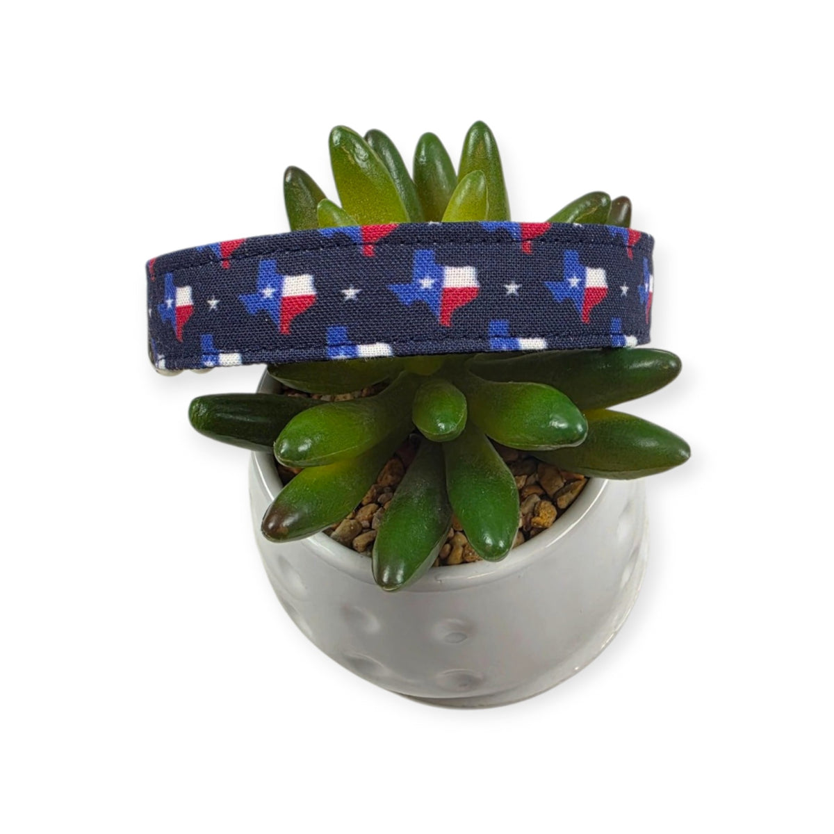 Texas State Flag Dog Collar (Medium)