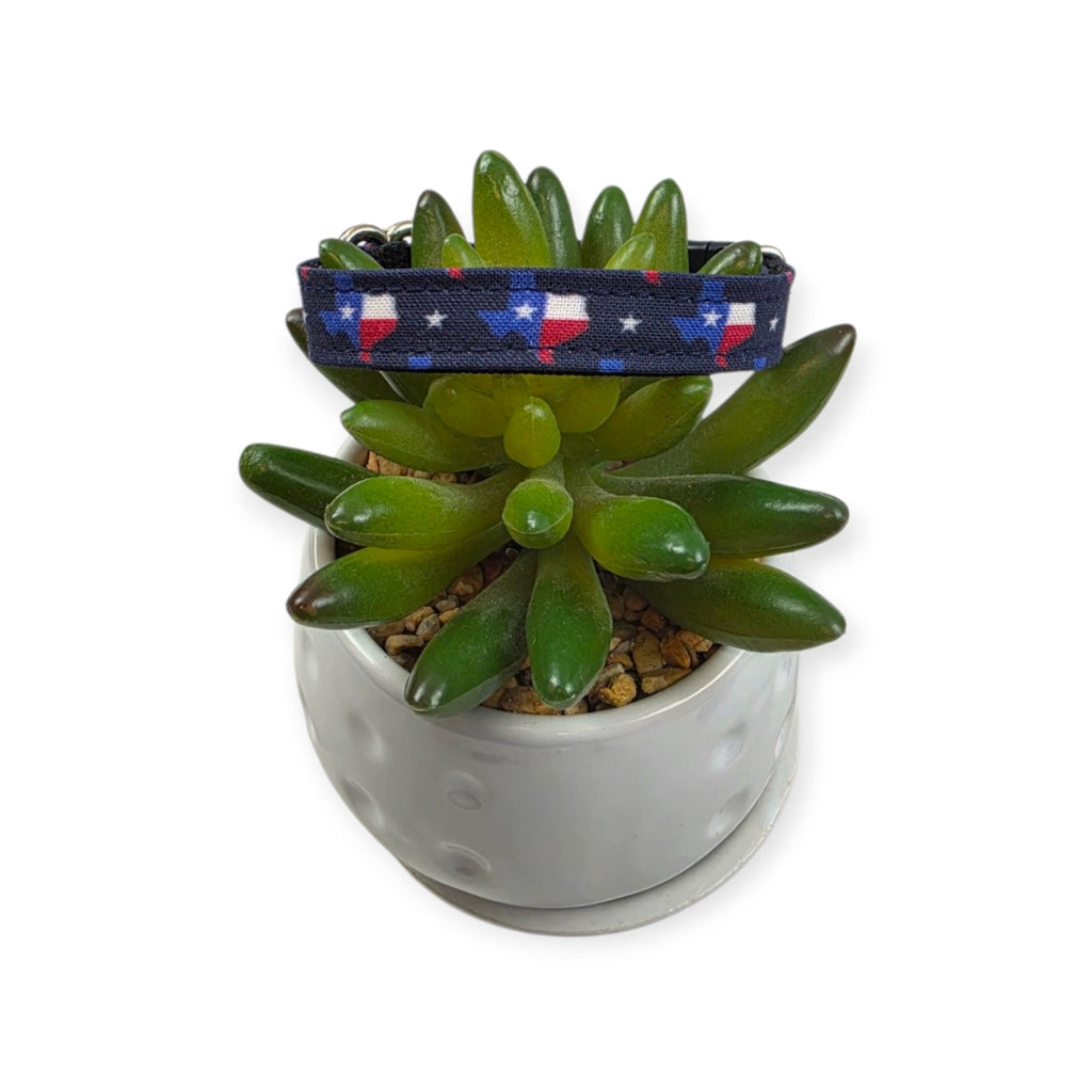 Texas State Flag Kitty Collar (XX-Small)