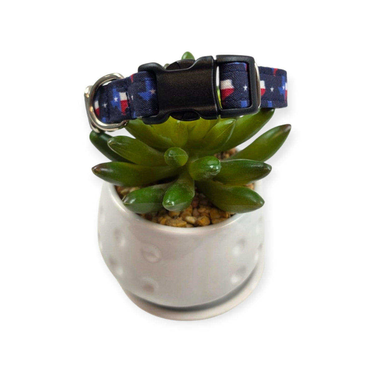 Texas State Flag Dog Collar (Small)