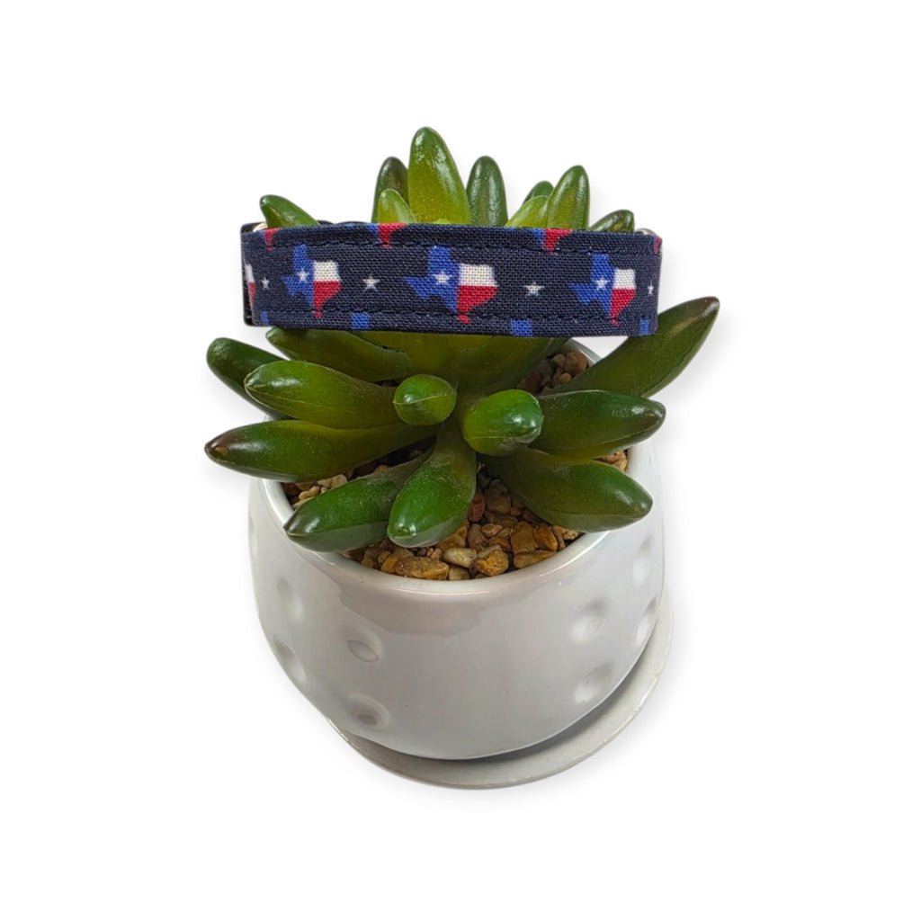 Texas State Flag Dog Collar (Small)