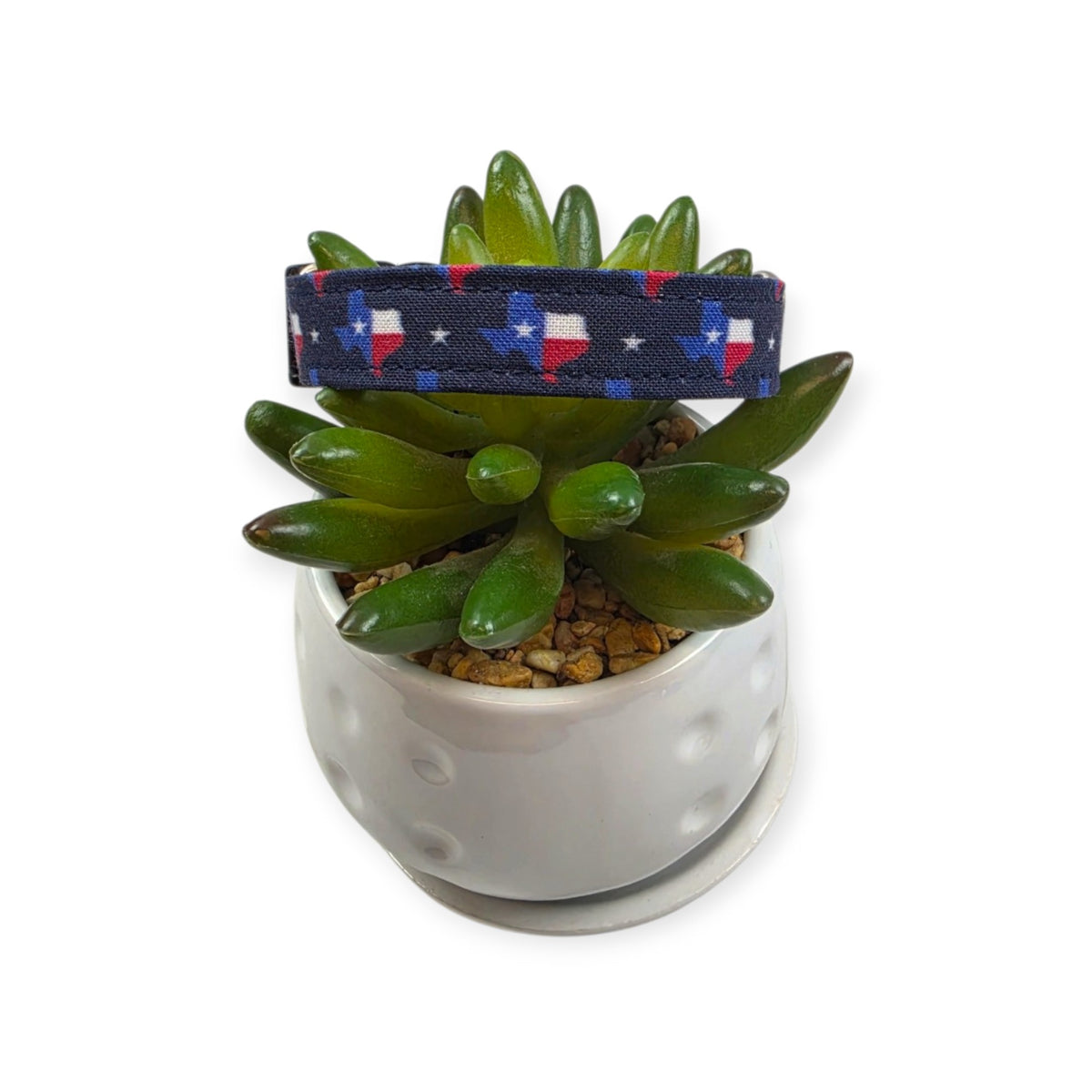 Texas State Flag Dog Collar (Small)