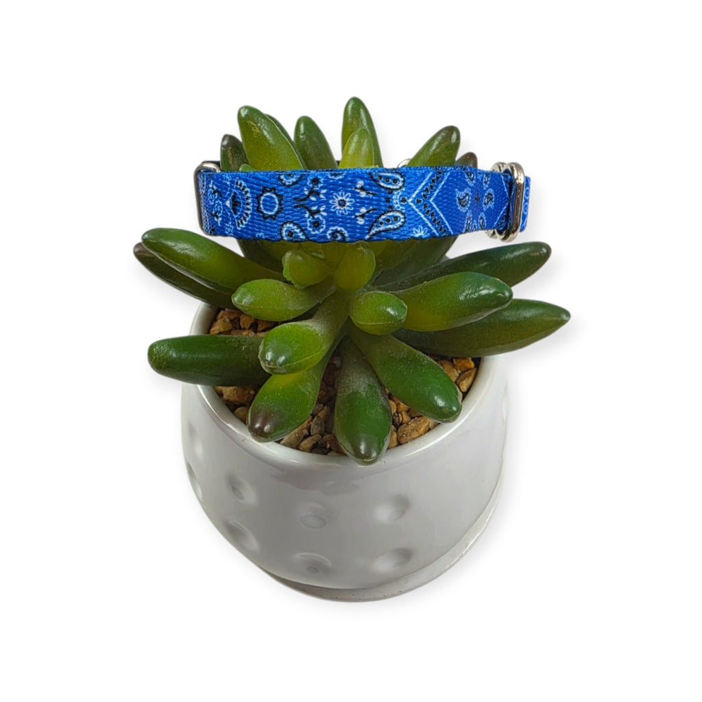 Blue Bandana Kitty Collar (XX-Small)