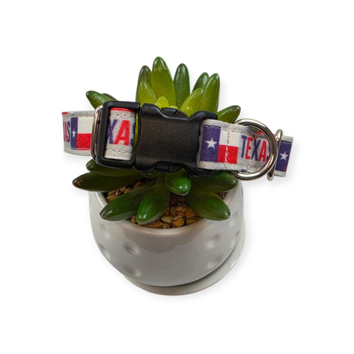 Texas Flag Dog Collar (Medium)
