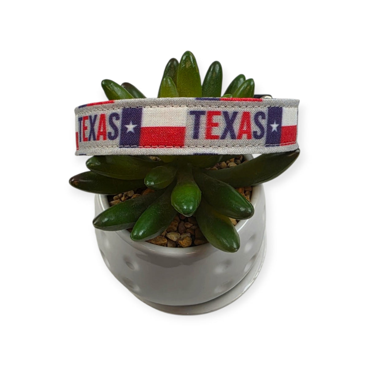 Texas Flag Dog Collar (Medium)