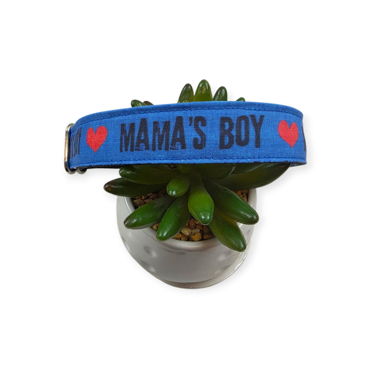 Mama's Boy on Blue Dog Collar (Large)