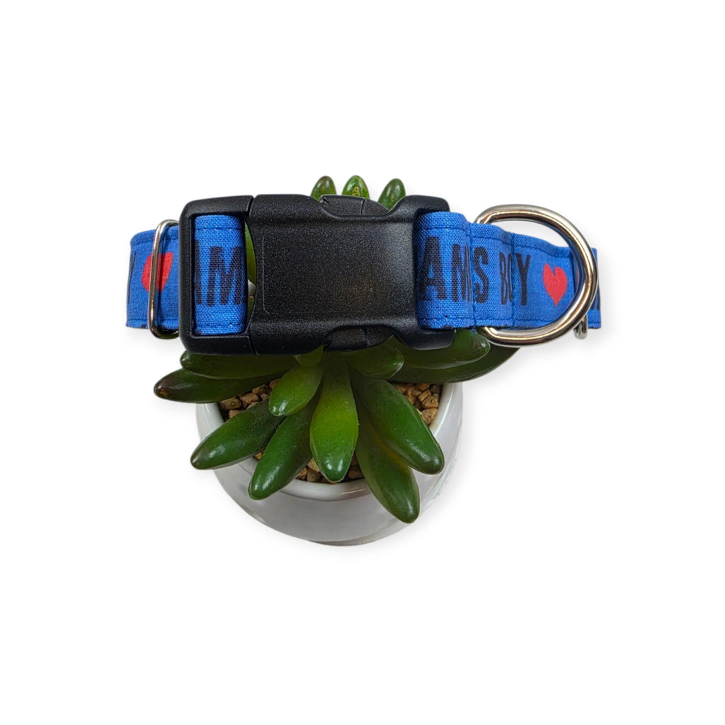 Mama's Boy on Blue Dog Collar (Large)