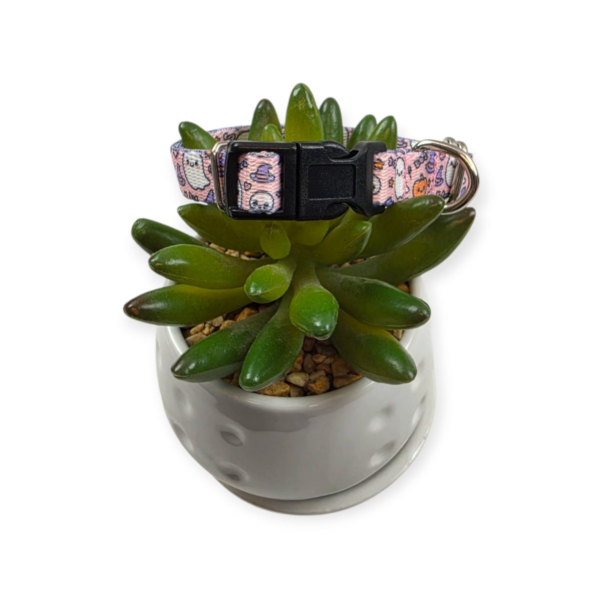 Boo Bash Dog Collar (XX-Small)
