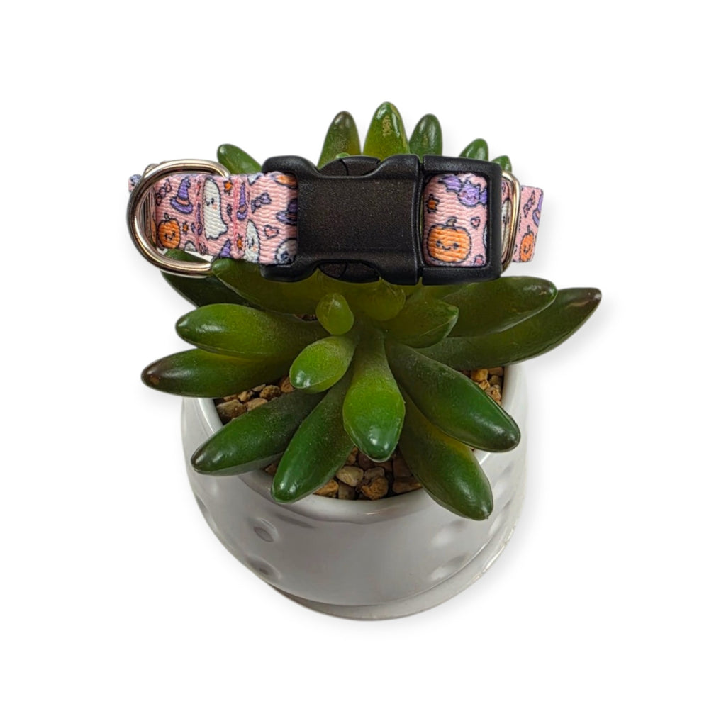 Boo Bash Dog Collar (Small)