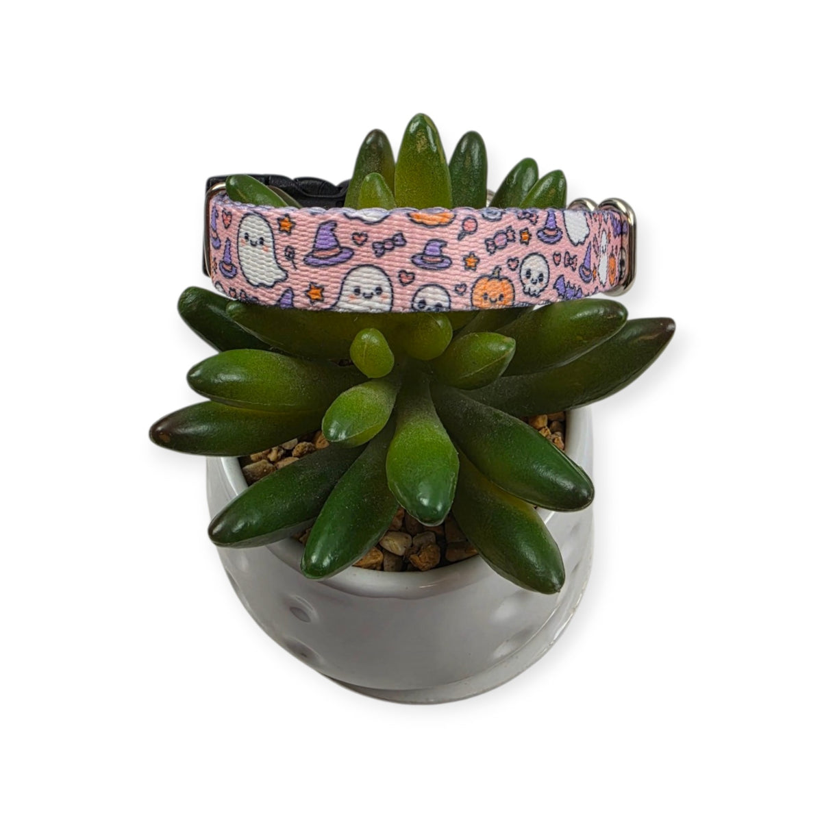 Boo Bash Dog Collar (Small)