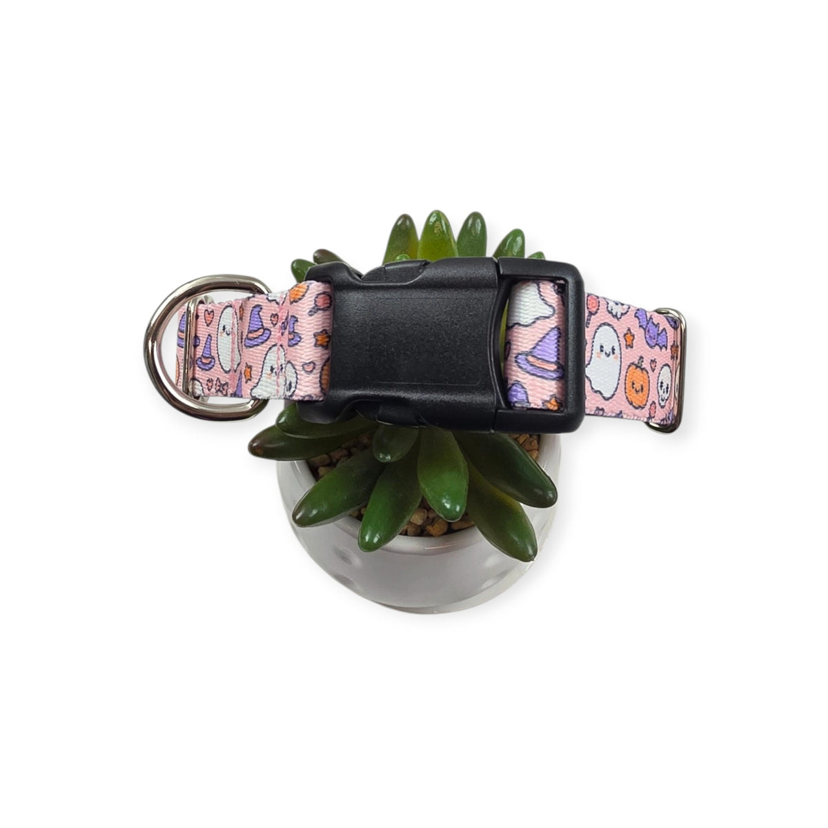 Boo Bash Dog Collar (Medium, 1" wide)