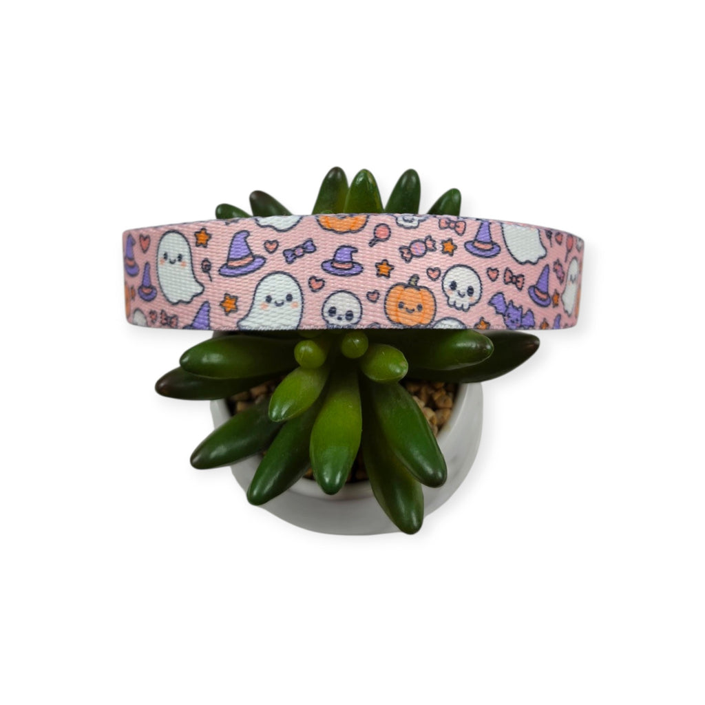 Boo Bash Dog Collar (Medium, 1" wide)