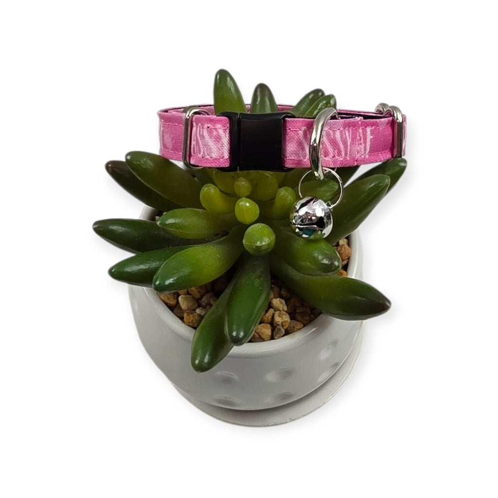 Sassy AF Kitty Collar (XX-Small)