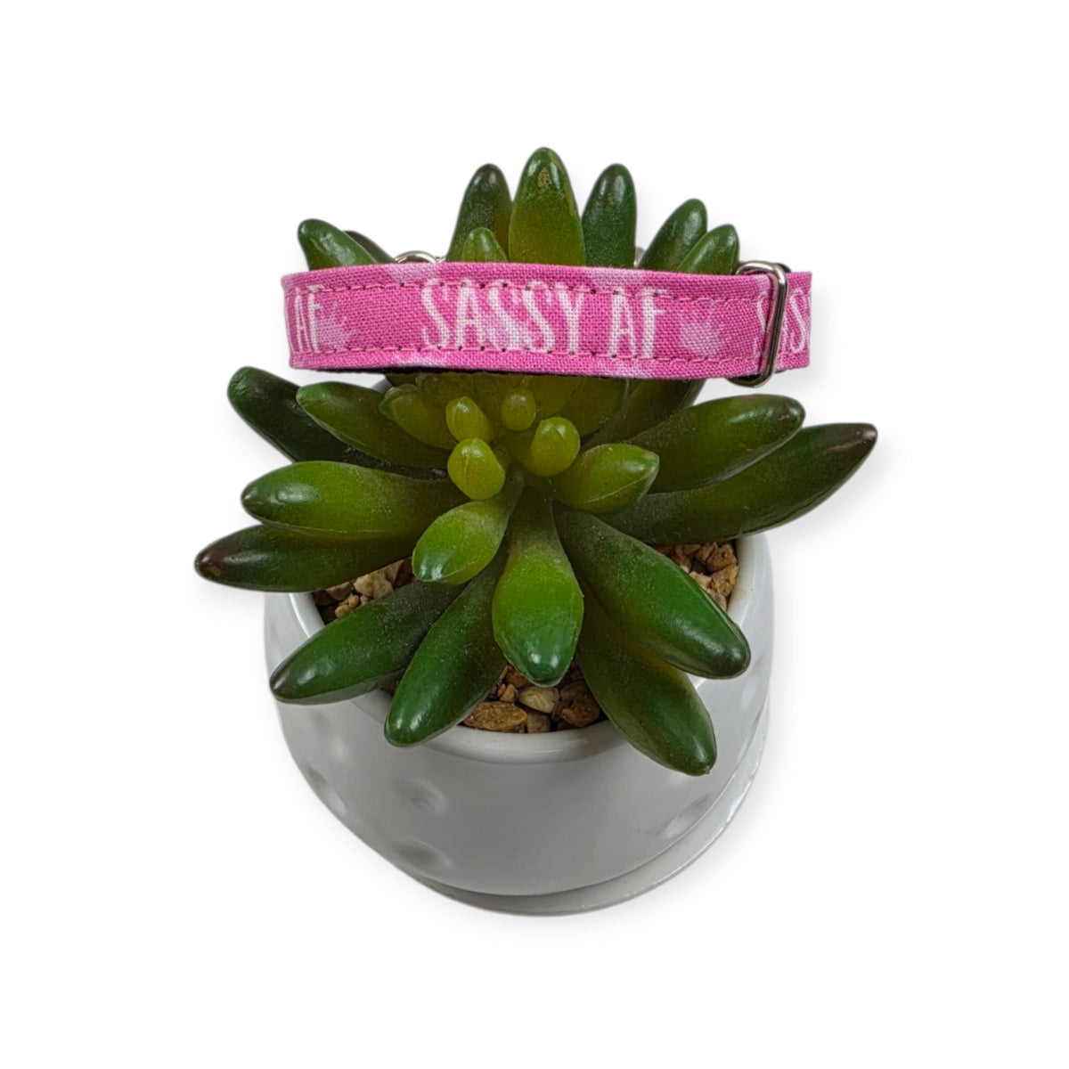 Sassy AF Kitty Collar (XX-Small)