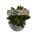 Lake Dog Collar (Small, 3/4" wide)