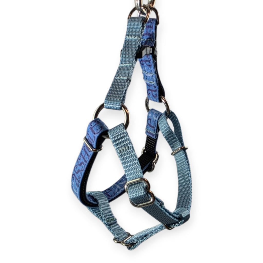 A$$hole Step-In Harness (XX-Small)