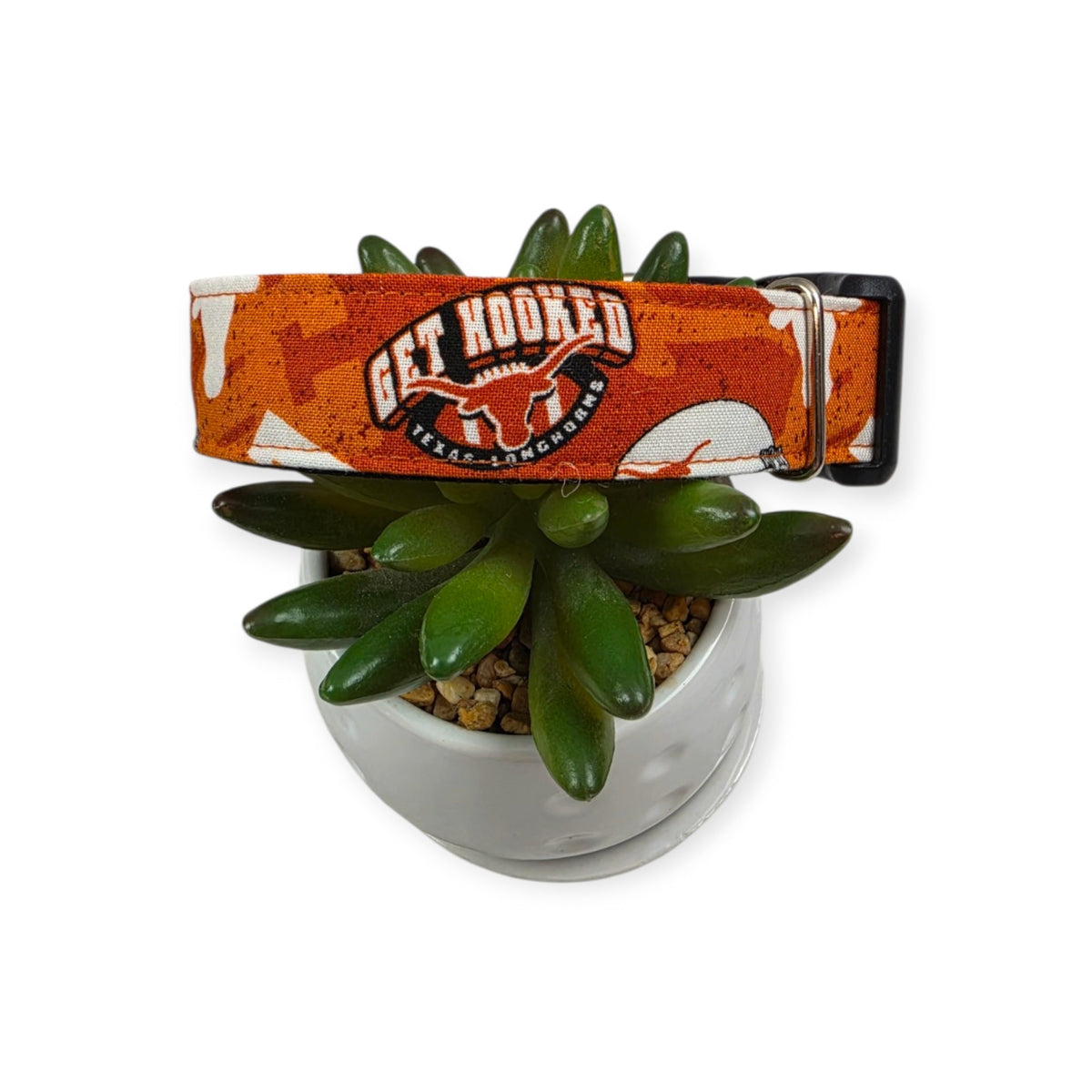 Longhorns Dog Collar (Medium, 1" wide)