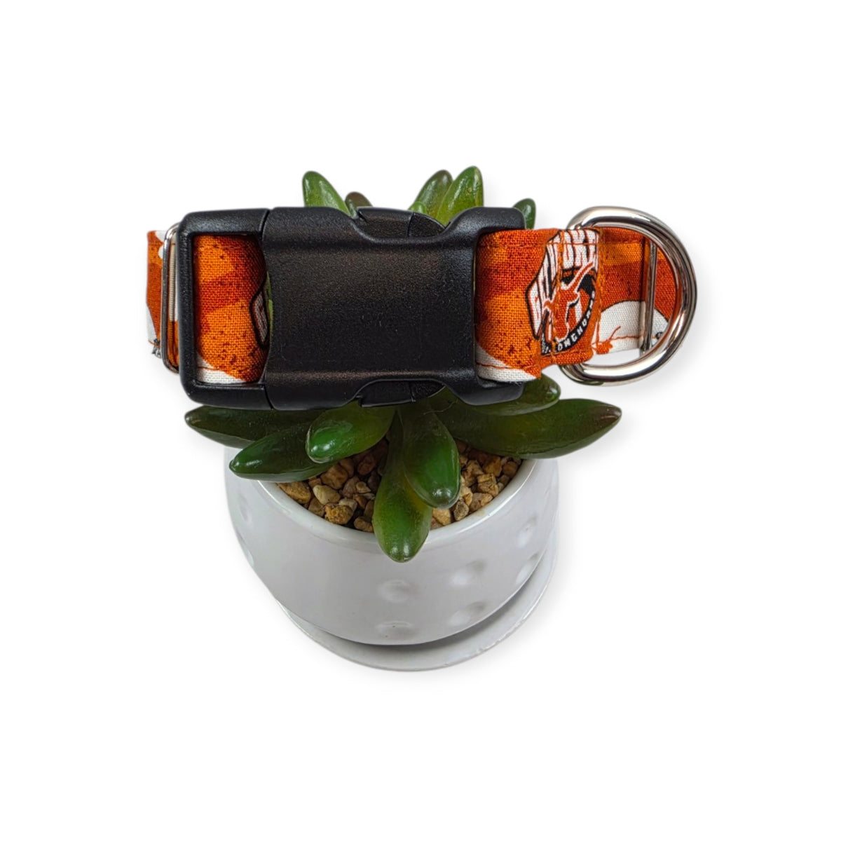 Longhorns Dog Collar (Medium, 1" wide)