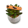 Halloween Magic Bats and Stars Dog Collar (Small)