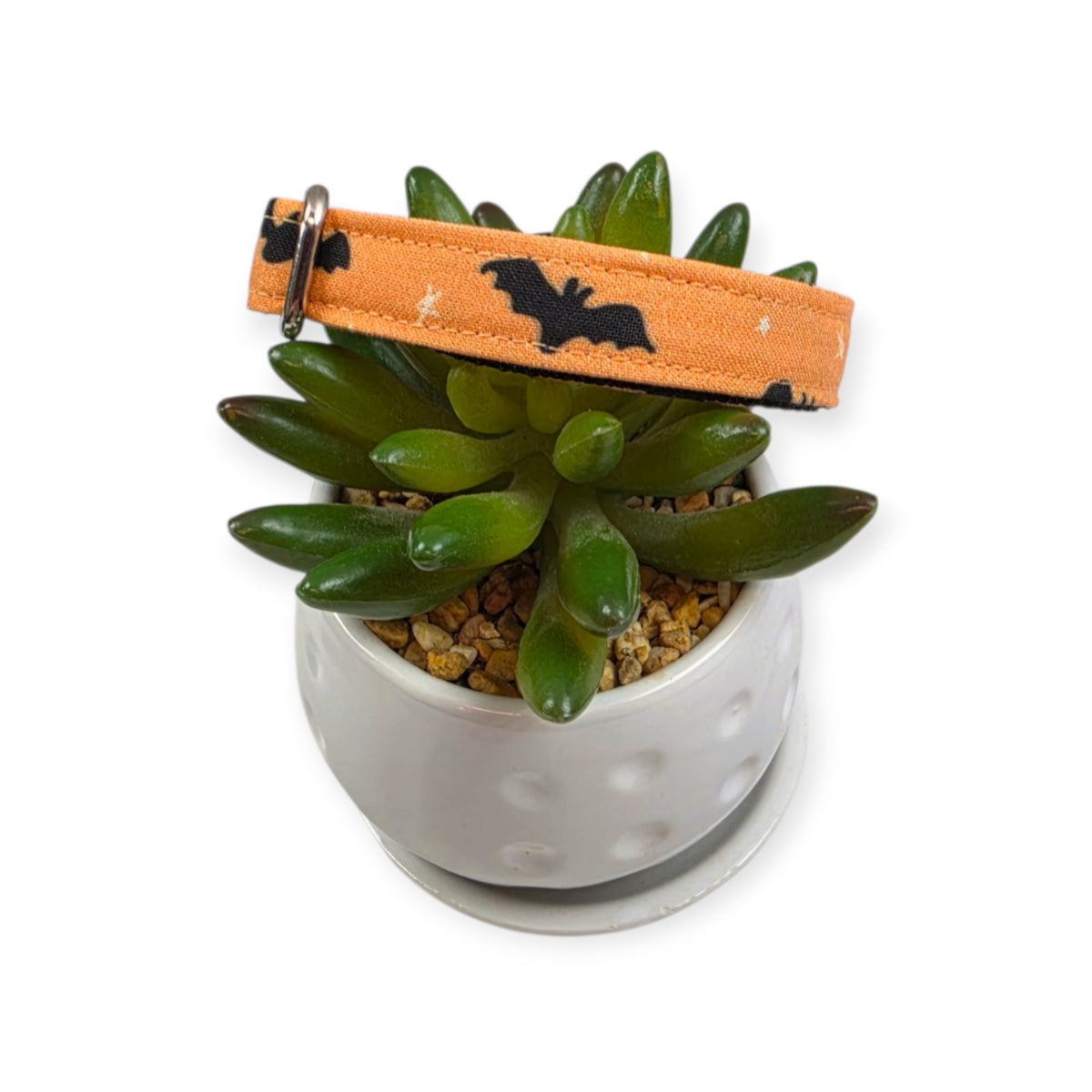 Halloween Magic Bats and Stars Dog Collar (Small)
