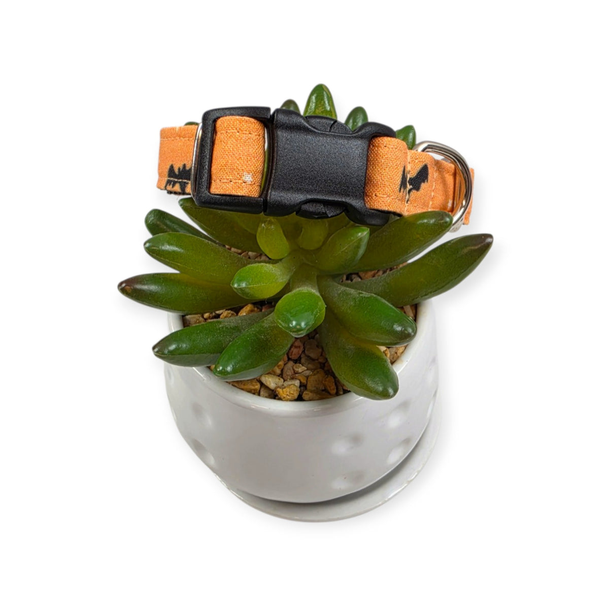 Halloween Magic Bats and Stars Dog Collar (Small)