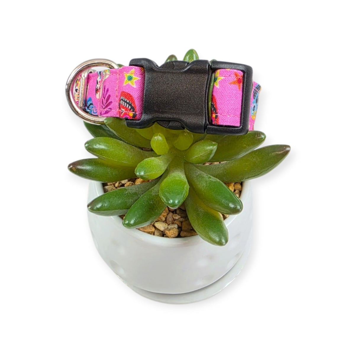 Hola Frieda on Pink Dog collar (Small, 3/4" wide)