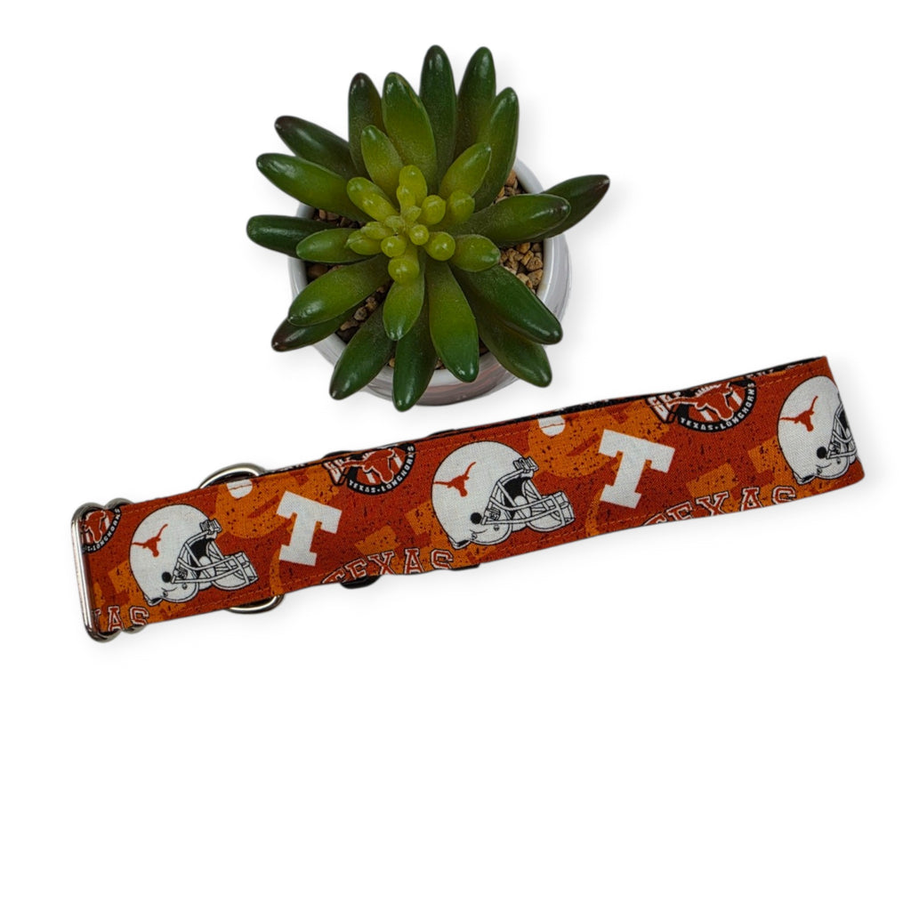 Longhorns Dog Collar (XX-Large, 1.5" wide)