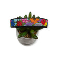 Ladybug Floral Dog collar (Medium, 1" wide)