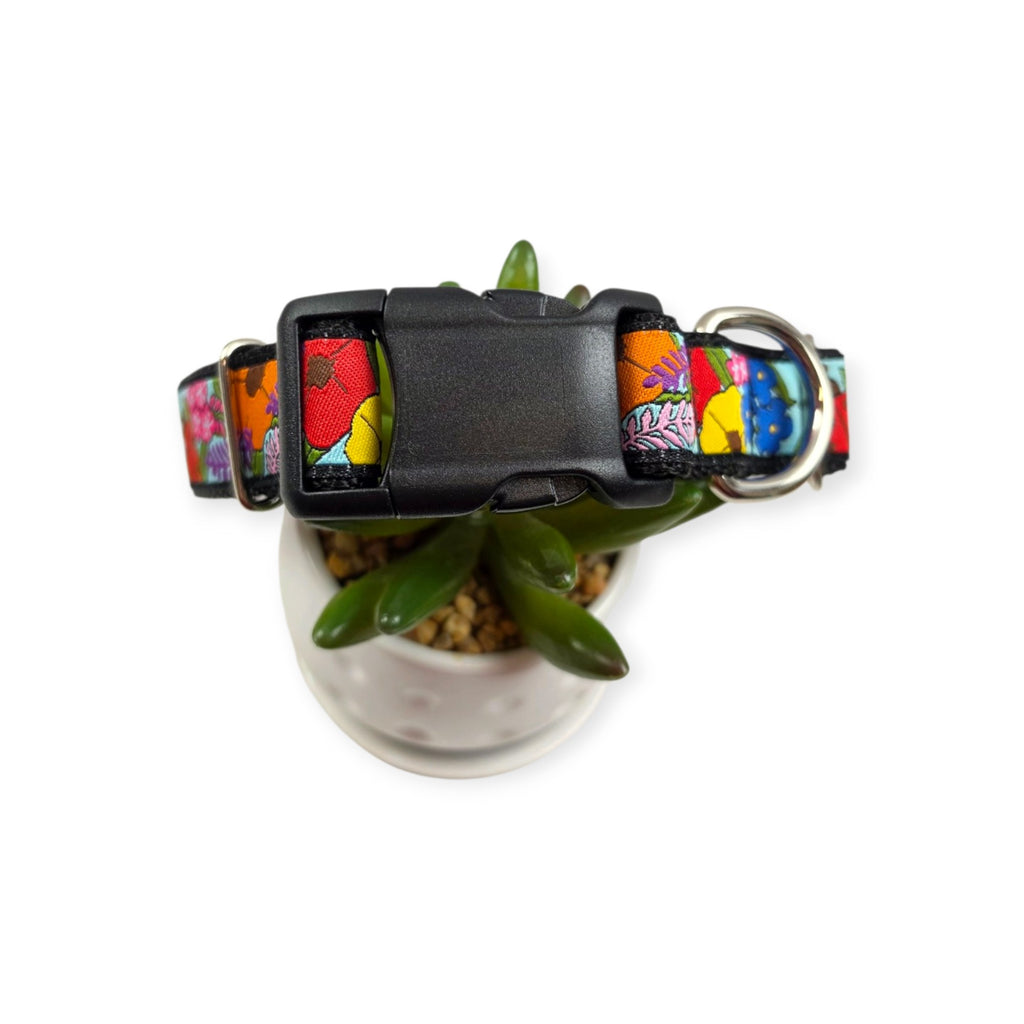 Ladybug Floral Dog collar (Medium, 1" wide)