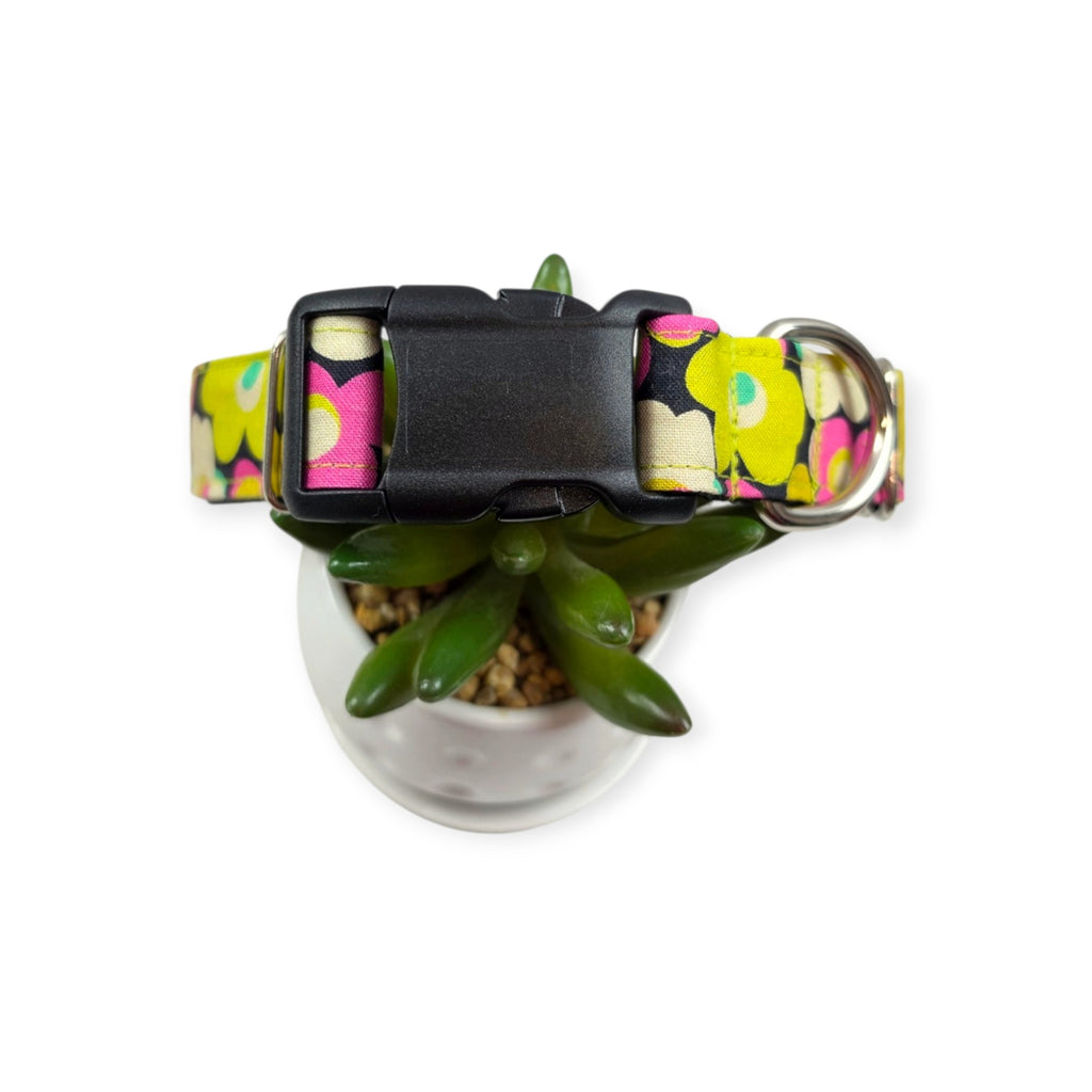 Flower Bump Dog Collar (Large)