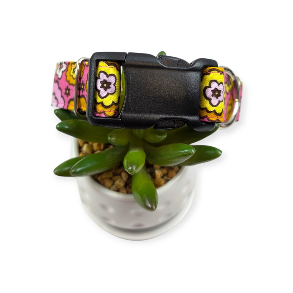 Flowerburst Pink Dog collar (Medium, 1" wide)