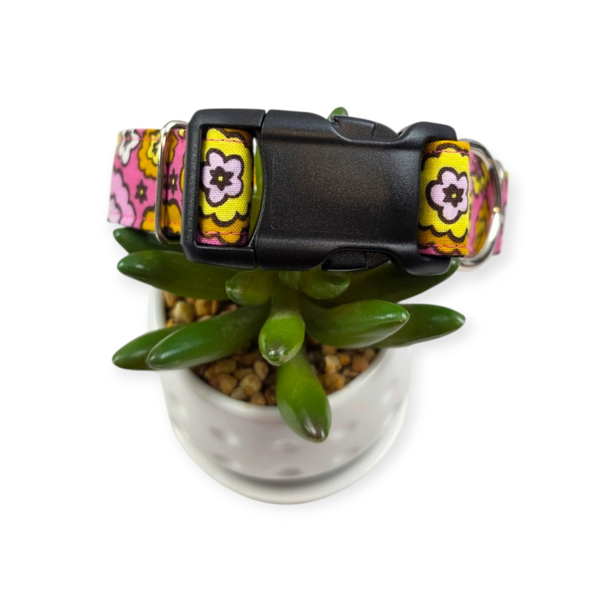 Flowerburst Pink Dog collar (Medium, 1" wide)