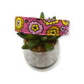 Flowerburst Pink Dog collar (Medium, 1" wide)