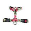Roses on Mint SureFit Harness (Small)