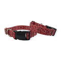 Red Bandana Dog Collar