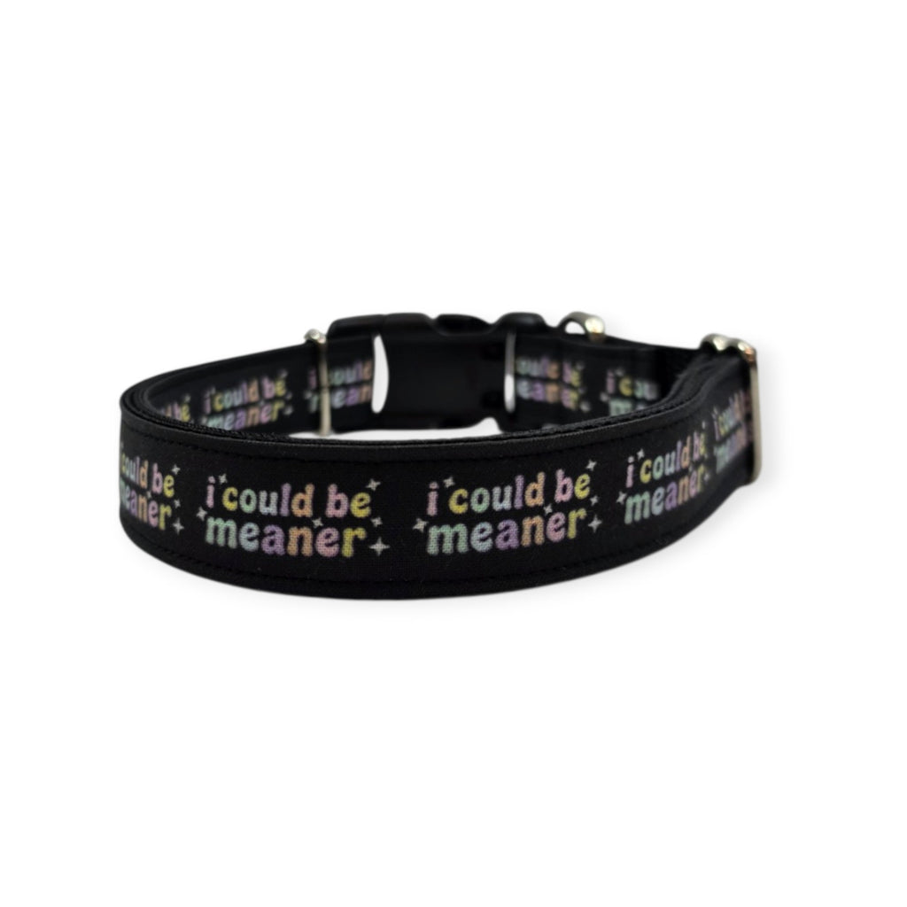 I Could Be Meaner Dog Collar