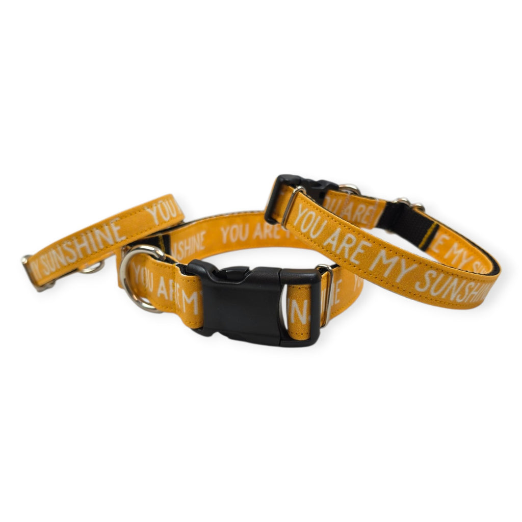 You Are My Sunshine Dog Collar