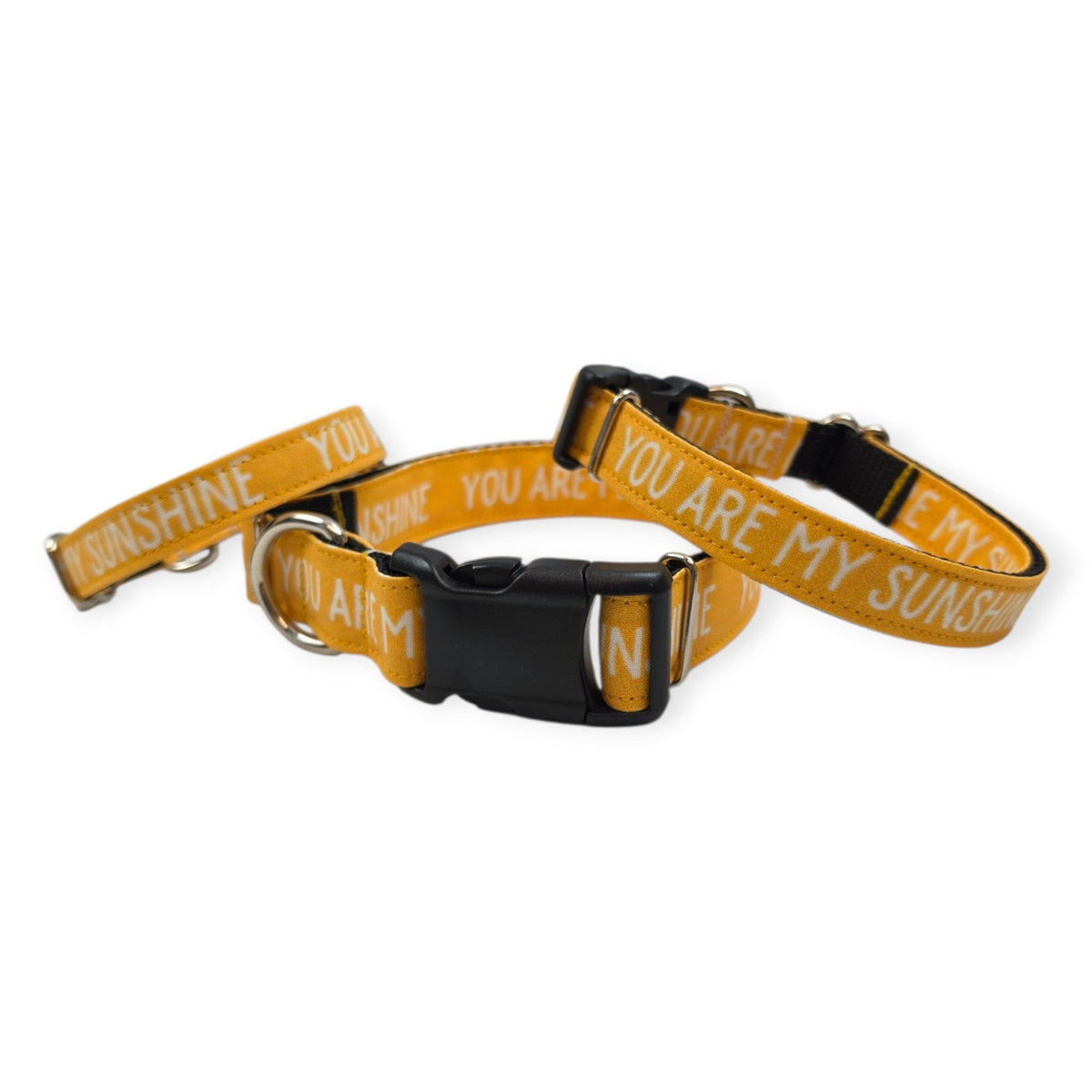 You Are My Sunshine Dog Collar