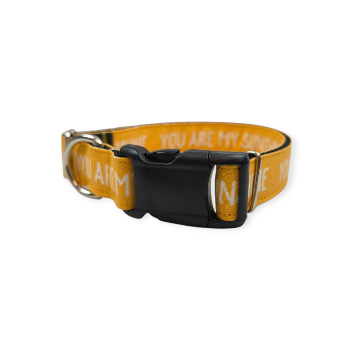 You Are My Sunshine Dog Collar