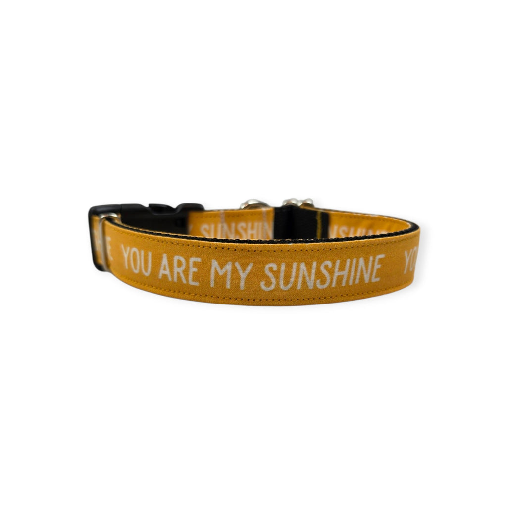 You Are My Sunshine Dog Collar