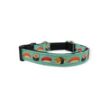 Sushi on Aqua Dog Collar
