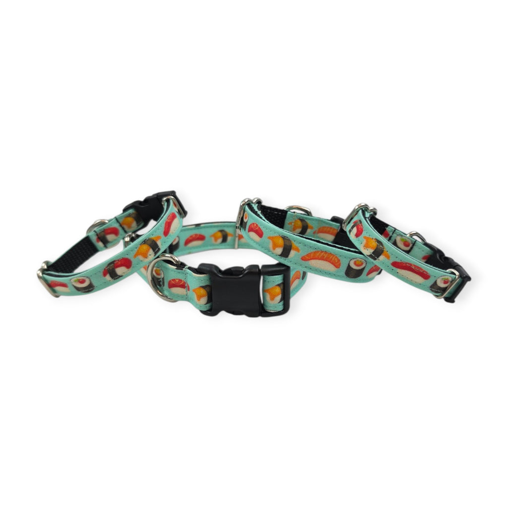 Sushi on Aqua Dog Collar