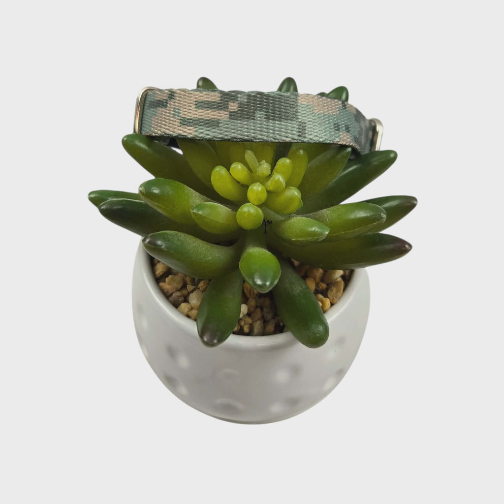 Mint Digital Camo Dog Collar (XX-Small)