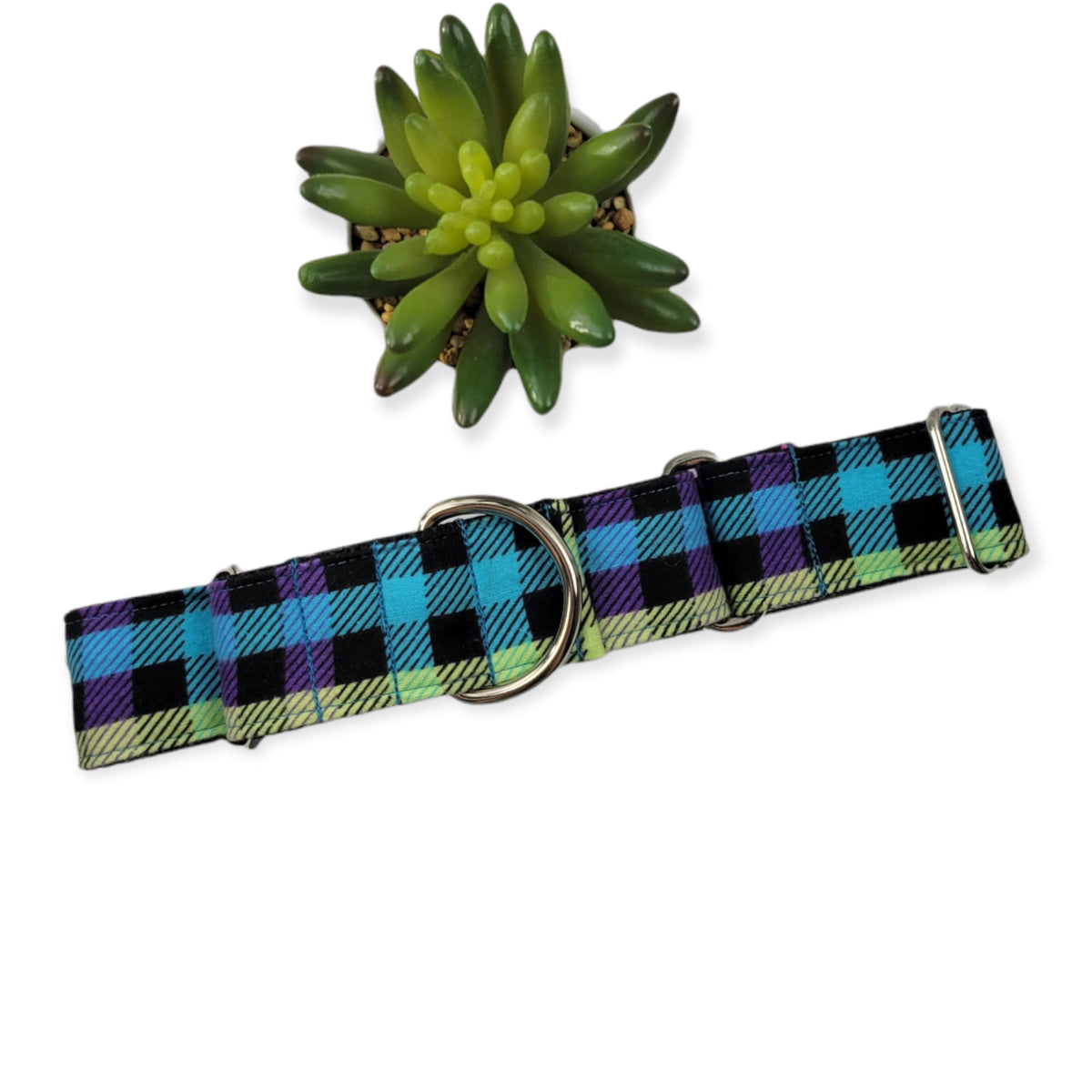Neon Plaid Martingale Dog Collar (Large, 1.5" wide)