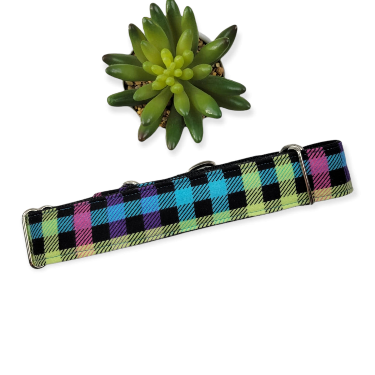 Neon Plaid Martingale Dog Collar (Large, 1.5" wide)