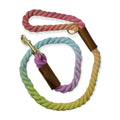 Rainbow Cotton Rope leash (4')