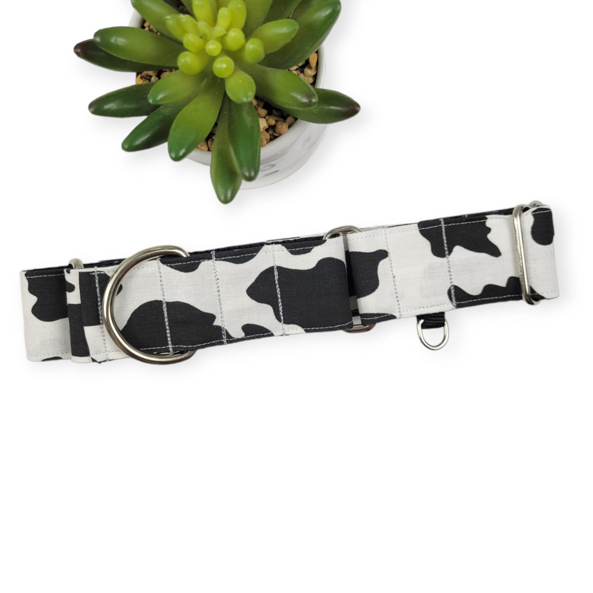 Cow Spots Martingale Dog Collar (Large, 1.5" wide)