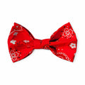 Red Paisley Bowtie - 5"