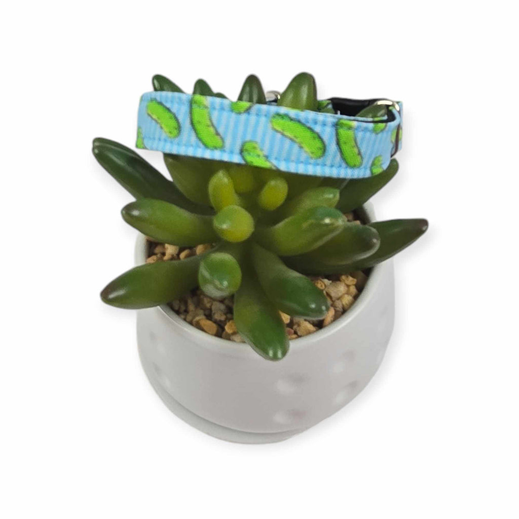 Pickles w/ Blue Stripes Kitty Collar (X-Small)